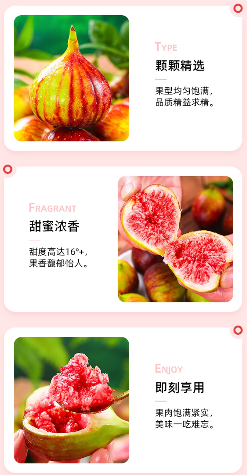 无花果的甜美与健康：自然馈赠的丰盈果实|老九淘券网-每天更新免费优惠券,领取免费优惠券,享受超值购物优惠！